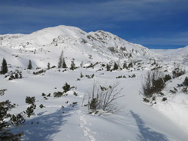 Buchbergkogel